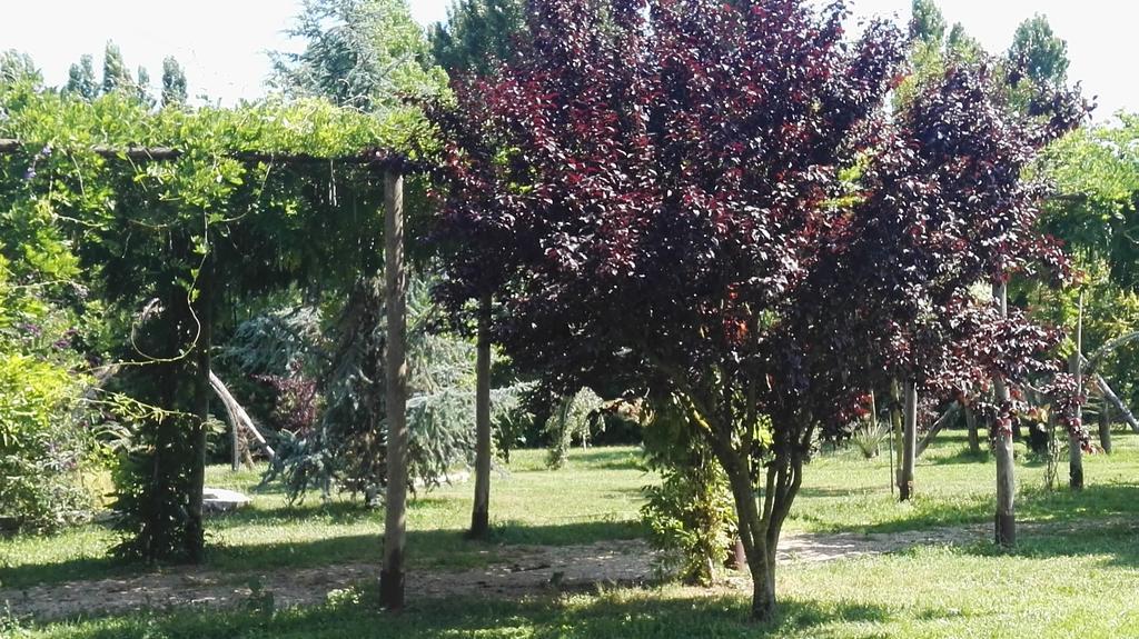 Tenuta Le Pantanelle Villa Sezze Eksteriør bilde